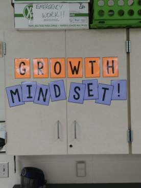 Photos that were given to me to help promote the Growth Mindset