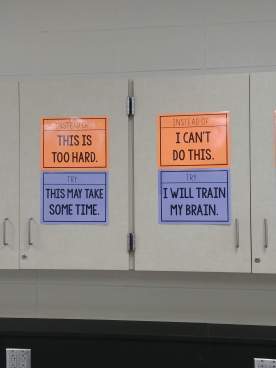 More photos on thinking about the Growth Mindset